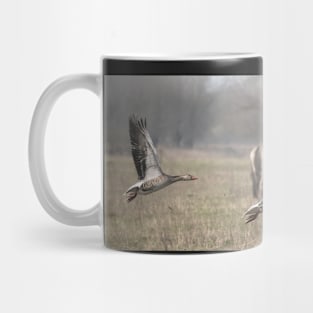 Greylag Goose Mug